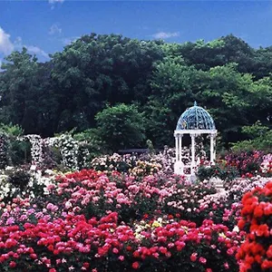  旅馆 Yalong Bay Farinn